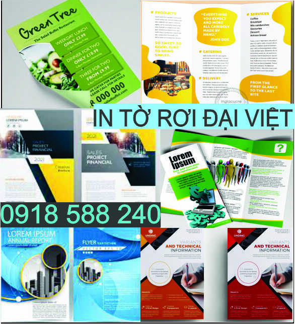 Thiết kế in profile brochure tờ rơi, thiết kế in catalogue Long Khánh