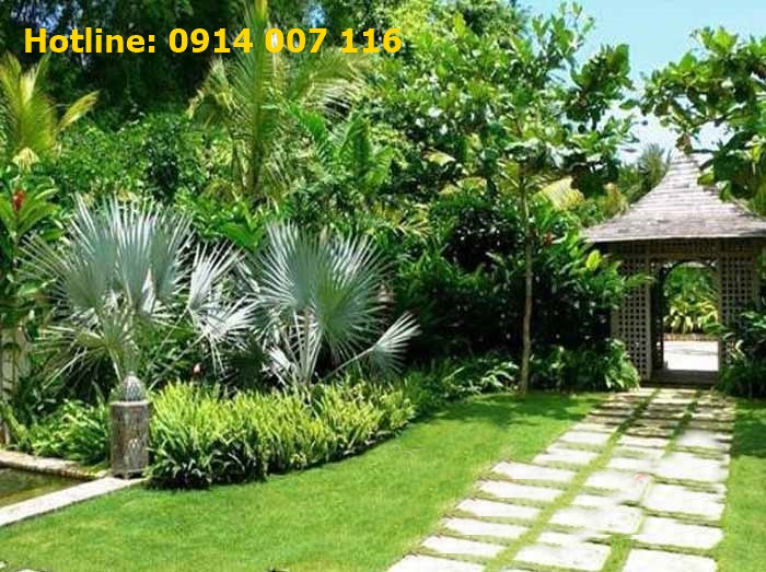 Thiết kế thi c&ocirc;ng tiểu cảnh s&acirc;n vườn tại T&acirc;n Ch&acirc;u
